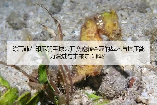 chen-yu-fei-zai-yin-ni-yu-mao-qiu-gong-kai-sai-ni-zhuan-duo-guan-de-zhan-shu-yu-kang-ya-neng-li-yan-jin-yu-wei-lai-zou-2-424.jpg